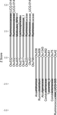 Effects of Gut Microbiome and Short-Chain Fatty Acids (SCFAs) on Finishing Weight of Meat Rabbits